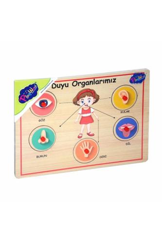 ONYIL PLAYWOOD AHŞAP TUTMALI ORGANLAR